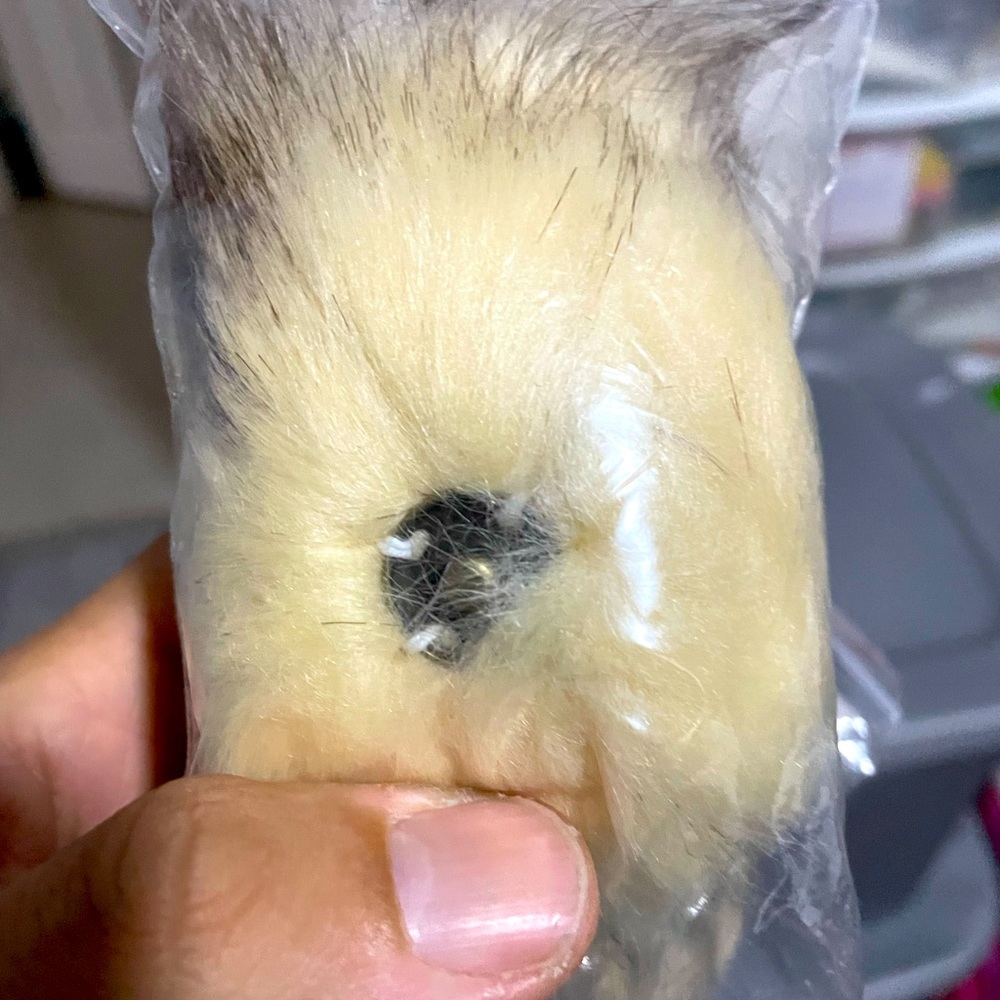 Fashion Fluffy fur bottons 2 pc new